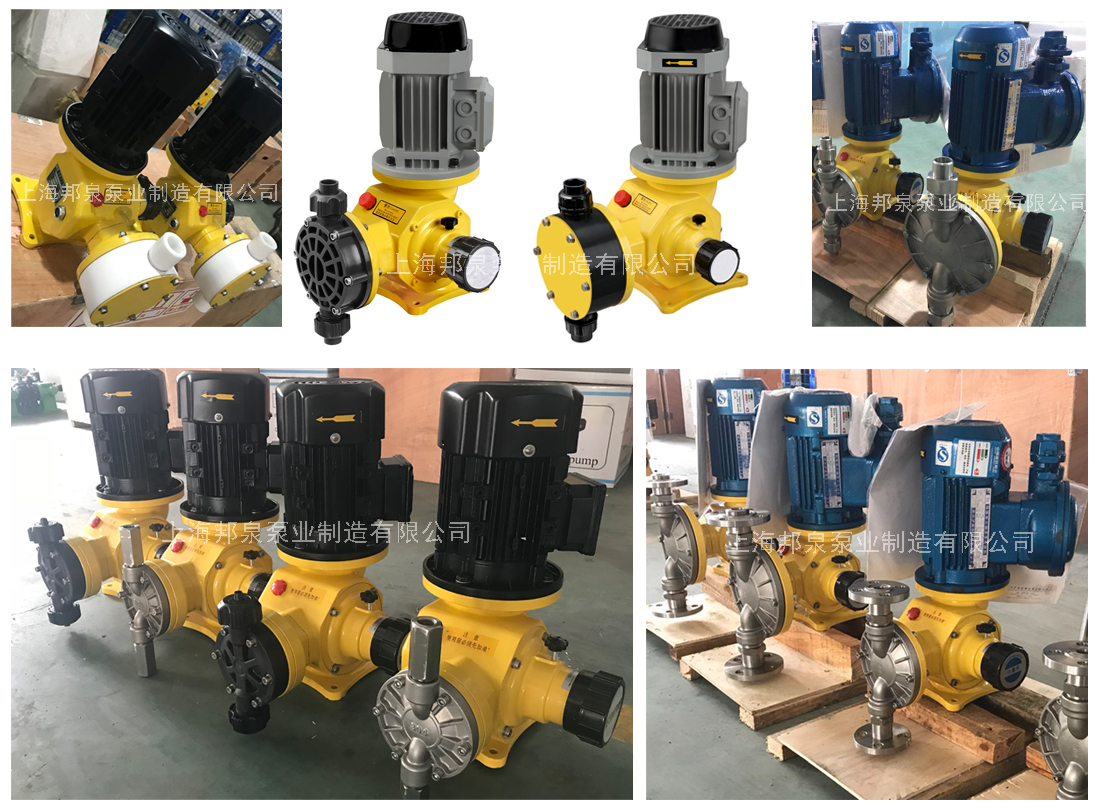 上海邦泉各種泵頭材質(zhì)的隔膜計(jì)量泵